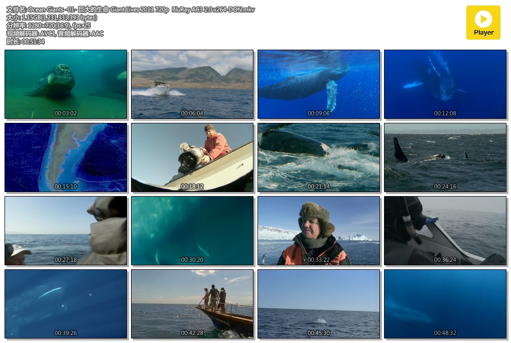 【央视国语】【BBC纪录片】【海洋巨物 Ocean giants 】【720P MKV】 【国英双语】 消失※纪录片 【央视国语】【BBC纪录片】【海洋巨物 Ocean giants 】【720P MKV】 【国英双语】 消失※纪录片